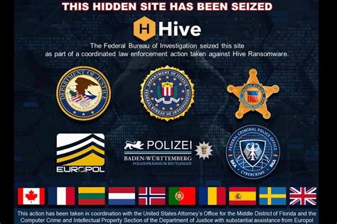 hive leaks|US announces it seized Hive ransomware gang’s leak。